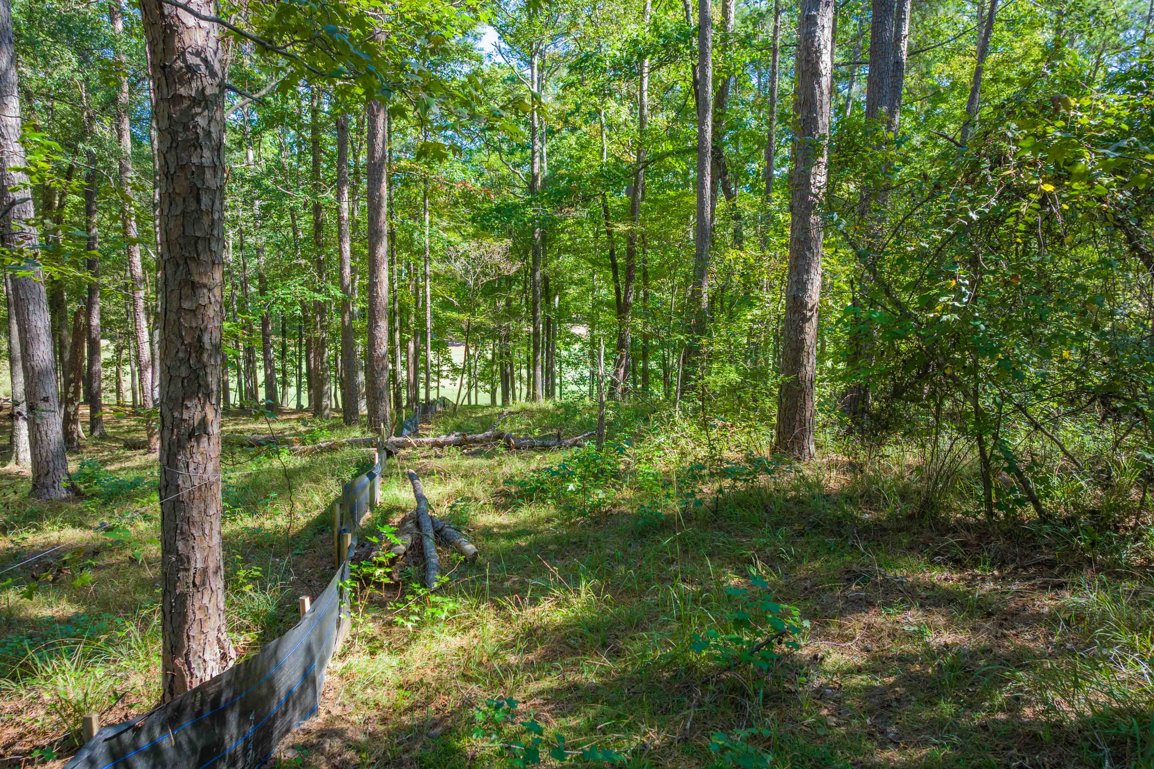1200 Callahan's Ridge Road image 9